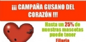 CAMPAÑA FILARIA